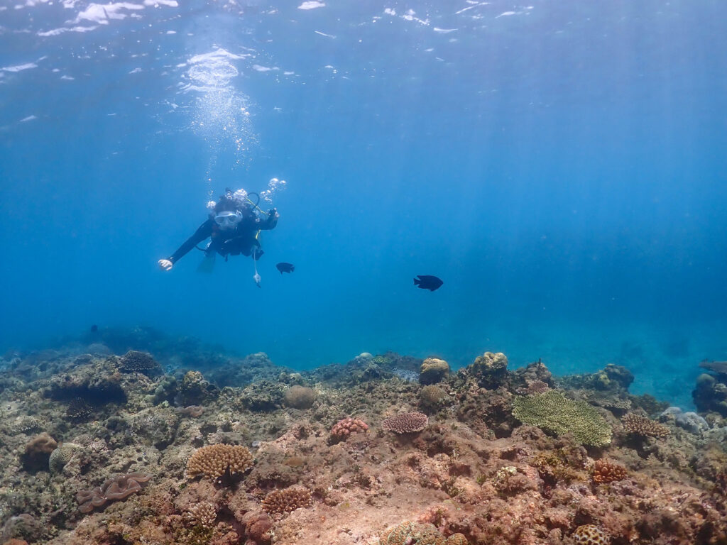 沖縄　ダイビング