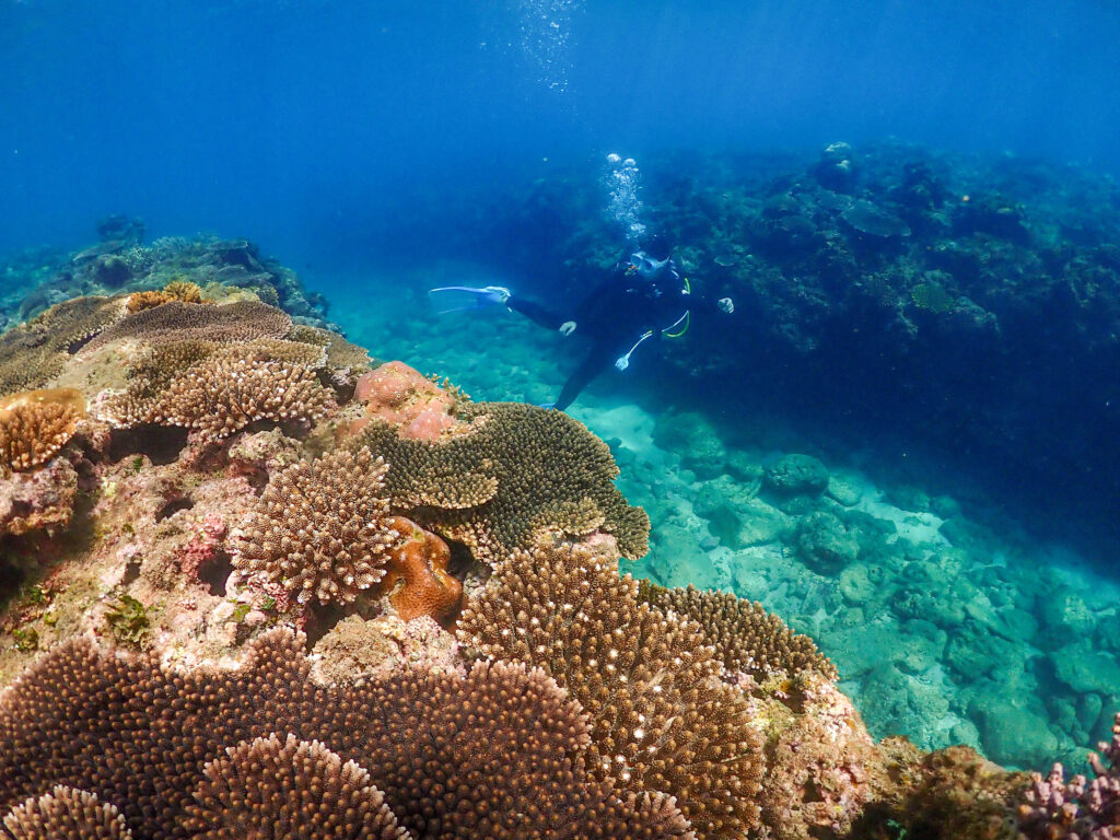 沖縄　ダイビング