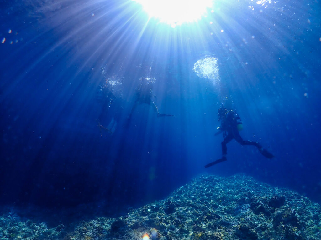 辺戸岬 ダイビング