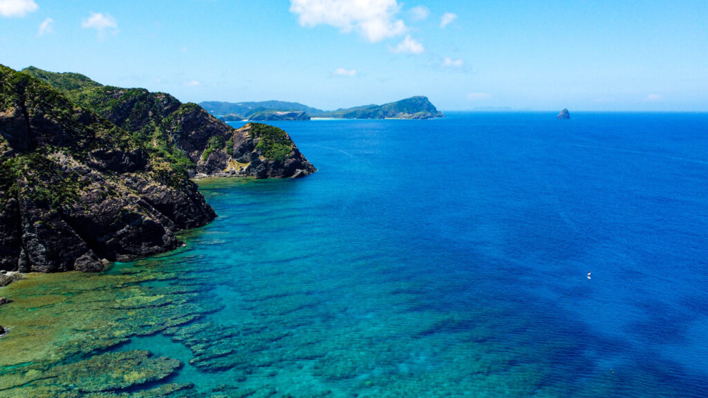 ケラマ ダイビング