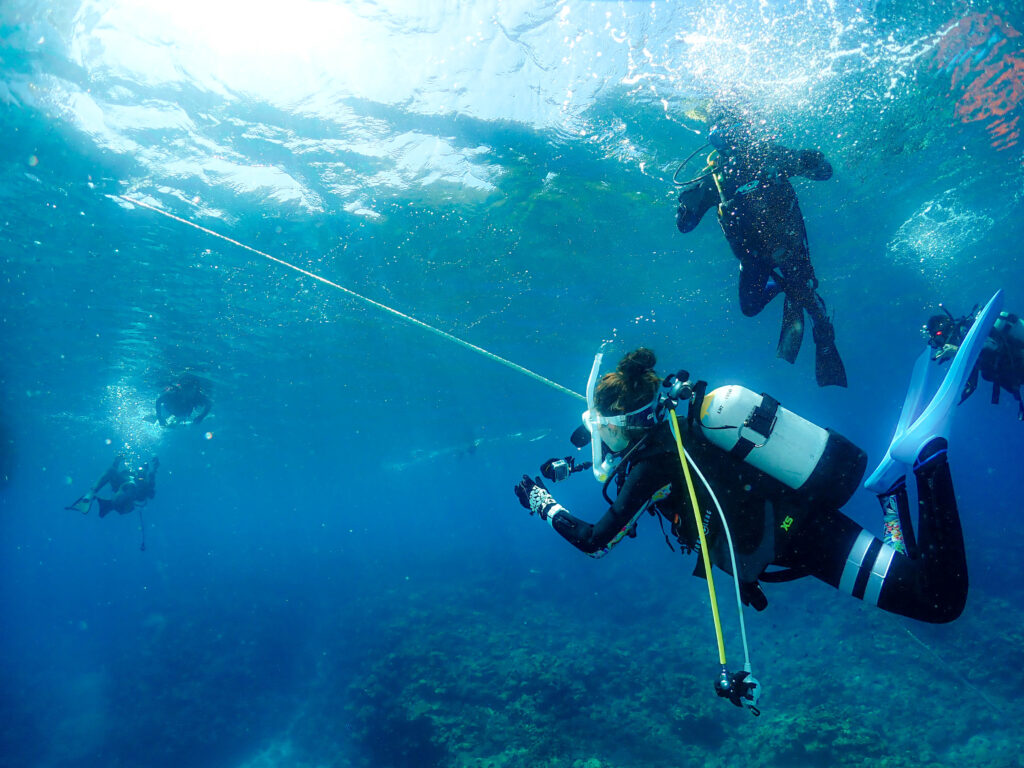ケラマ ダイビング