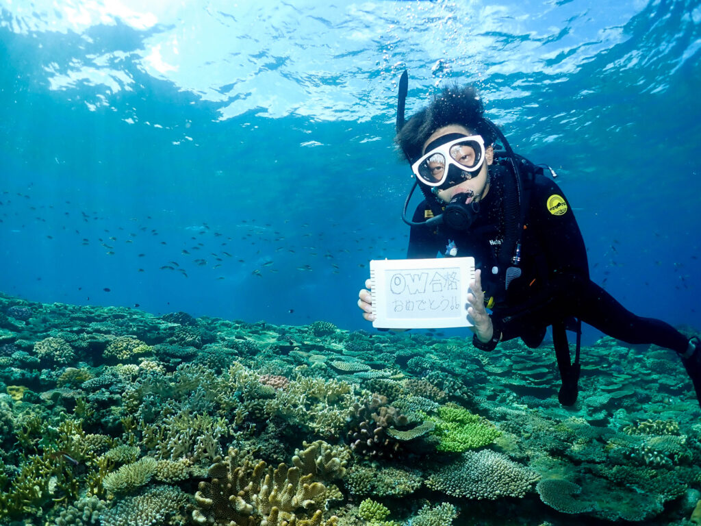 恩納村 ダイビングライセンス