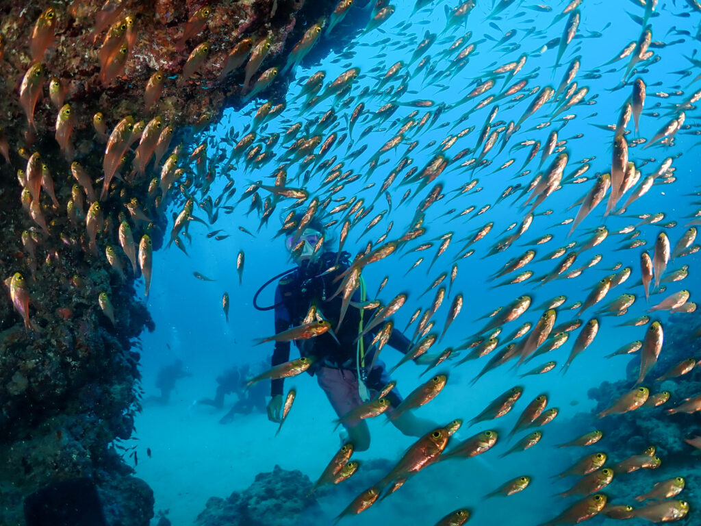 糸満　ダイビング