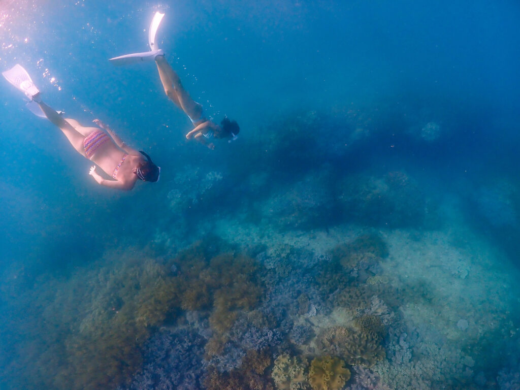 沖縄　スキンダイビング