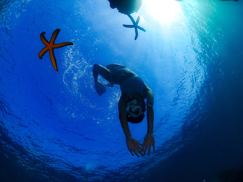 沖縄　スキンダイビング