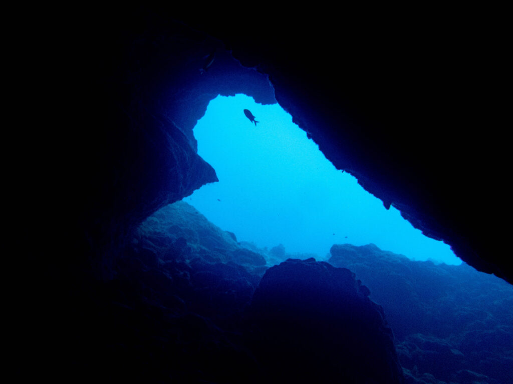 恩納村　ダイビング