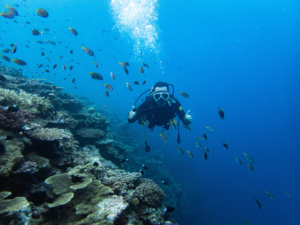 恩納村　ダイビング