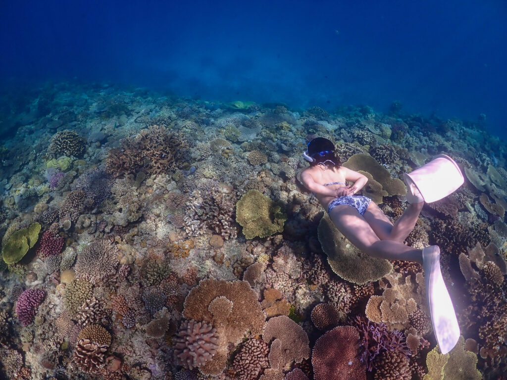 水納島　スキンダイビング