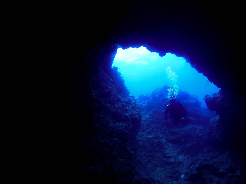 沖縄 ダイビング