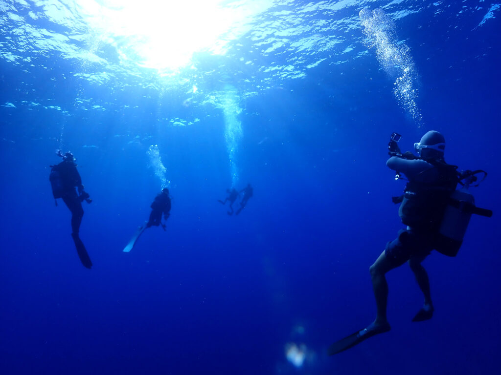 沖縄　ダイビング