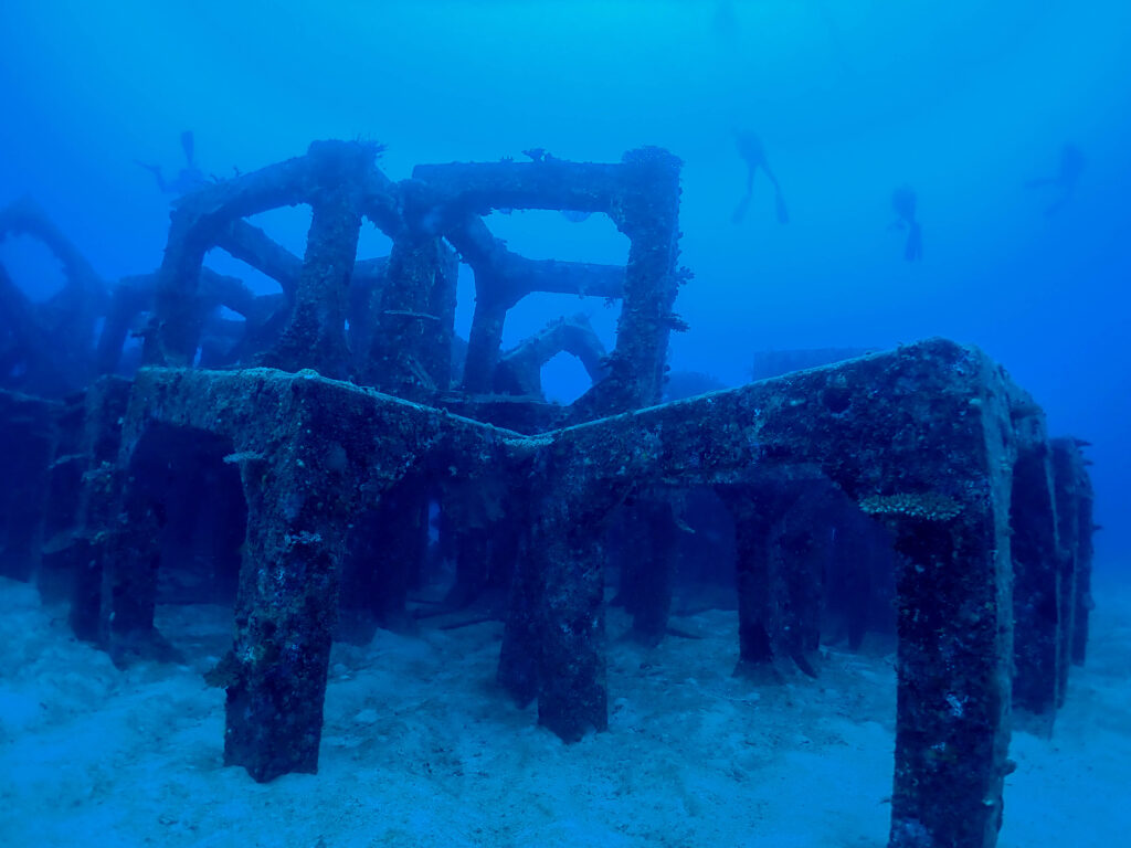 魚礁　ダイビング