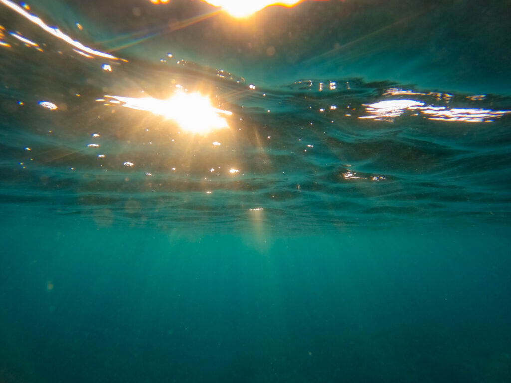 沖縄　ダイビングライセンス