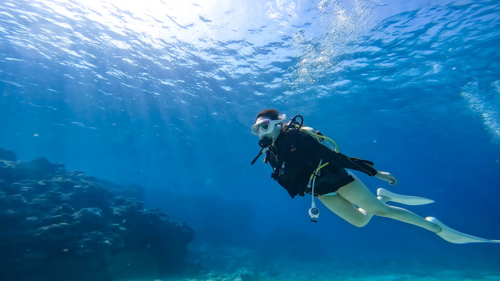 ボートチャーター 体験ダイビング