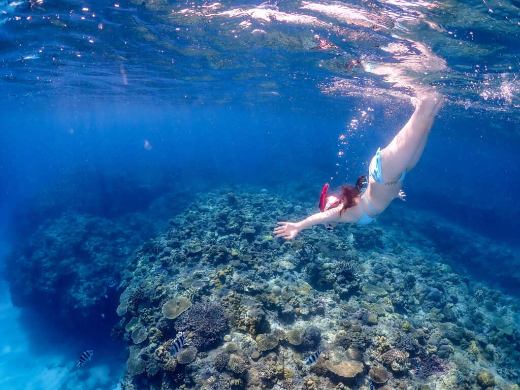 チービシ スキンダイビング