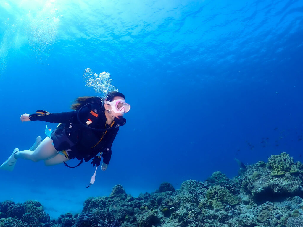 ボートチャーター 体験ダイビング