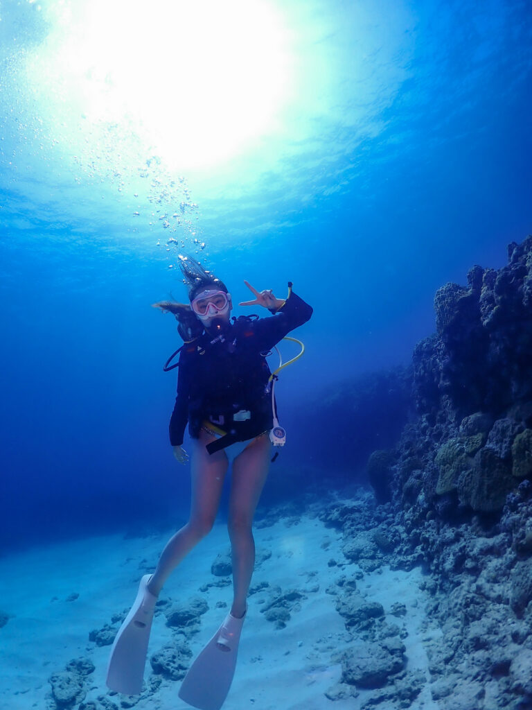 ボートチャーター 体験ダイビング