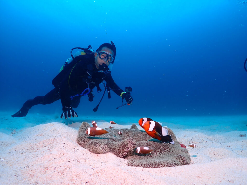 万座　ダイビング