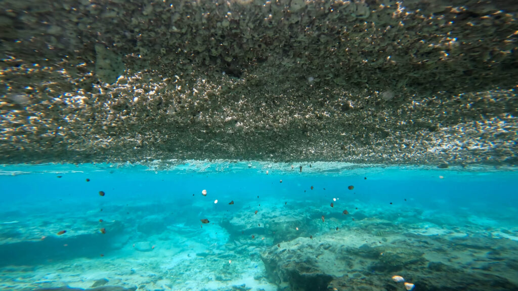 沖縄　北部ビーチ