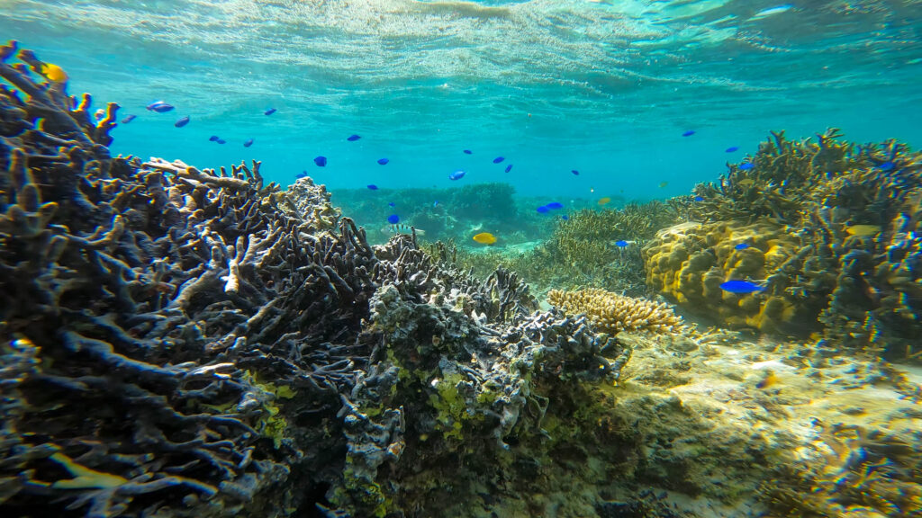 沖縄　北部ビーチ