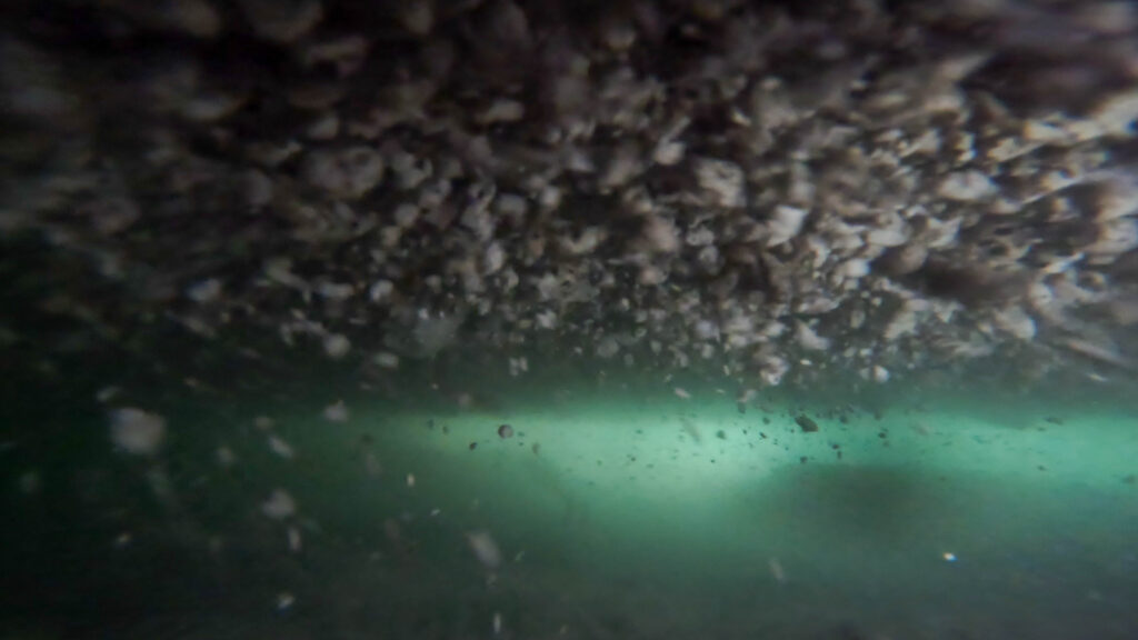 沖縄　北部ビーチ