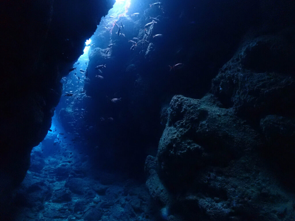 ダイビングライセンス講習 沖縄