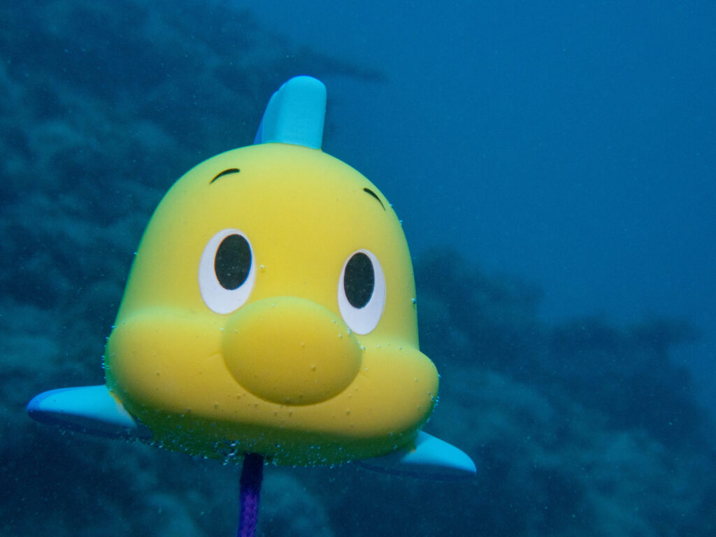 糸満 ダイビング