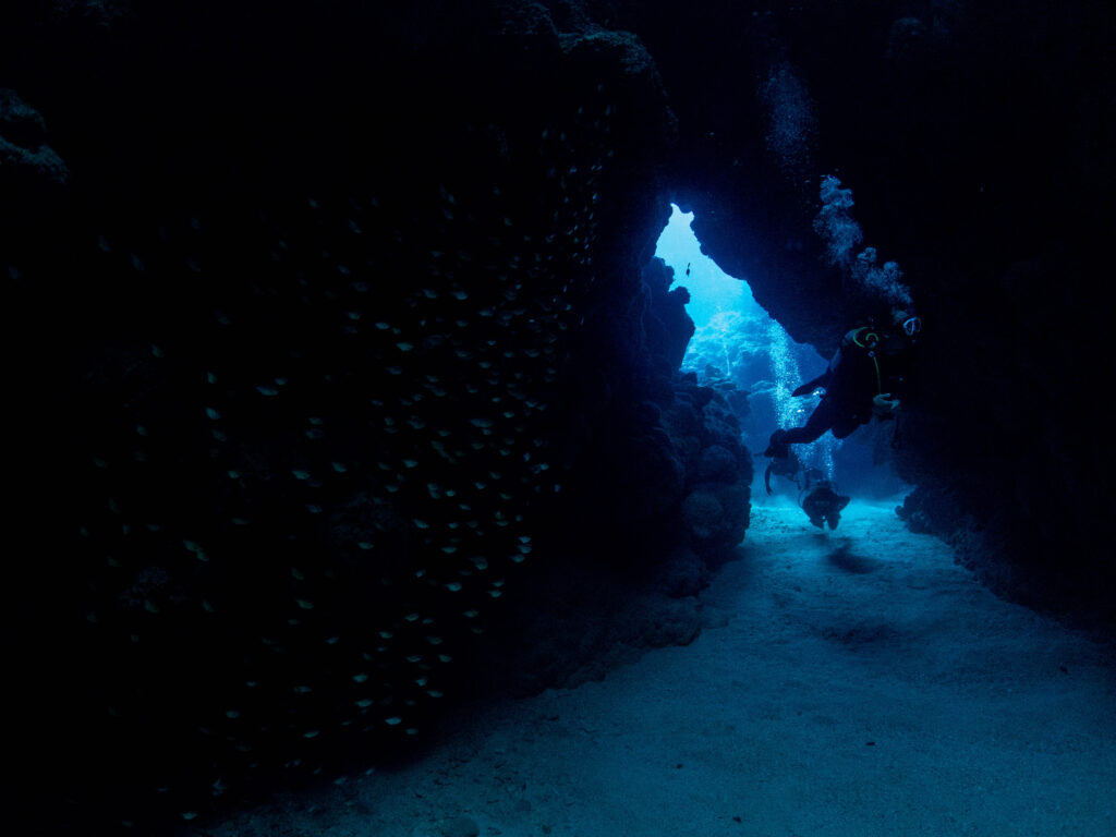 沖縄　ダイビング