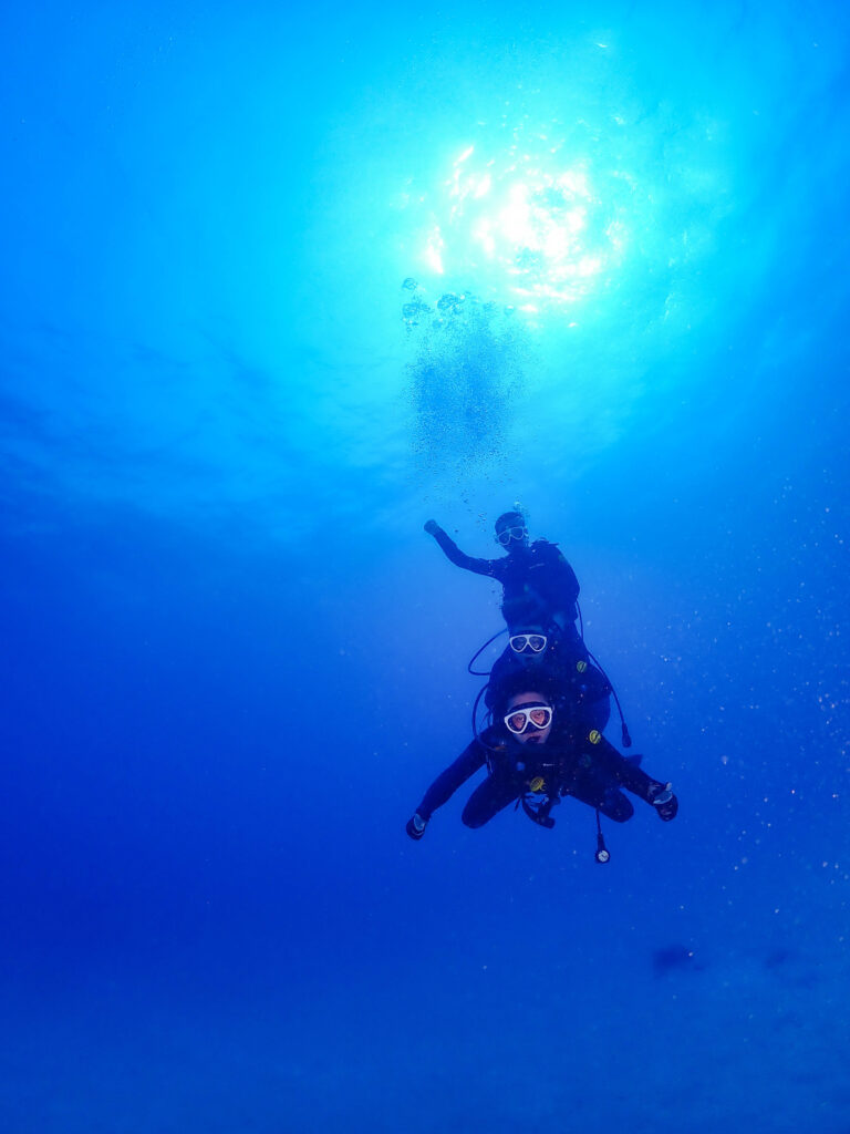沖縄東海岸 ダイビング