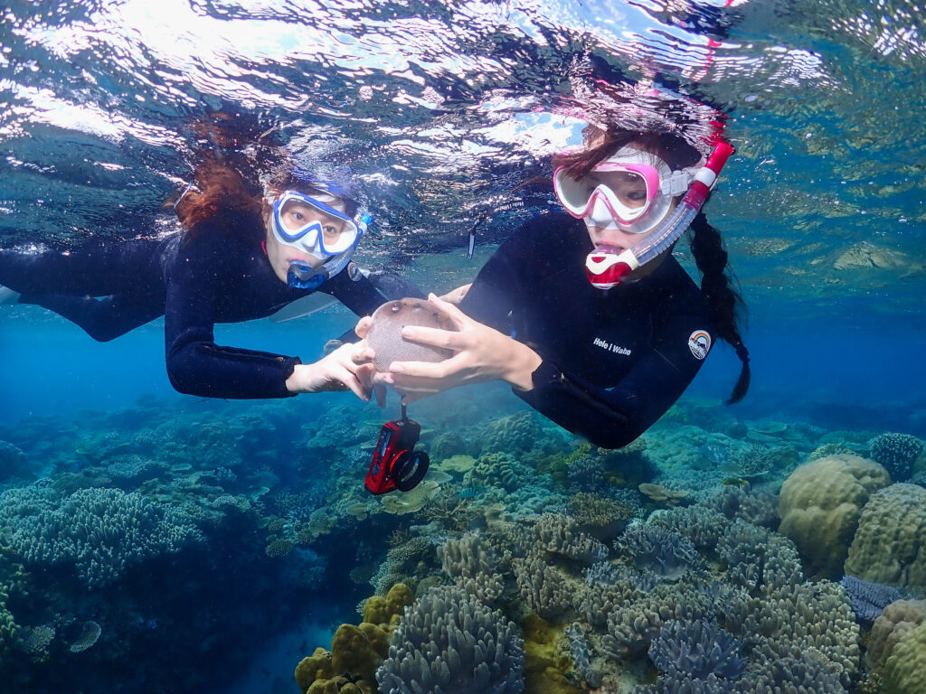水納島 スキンダイビング