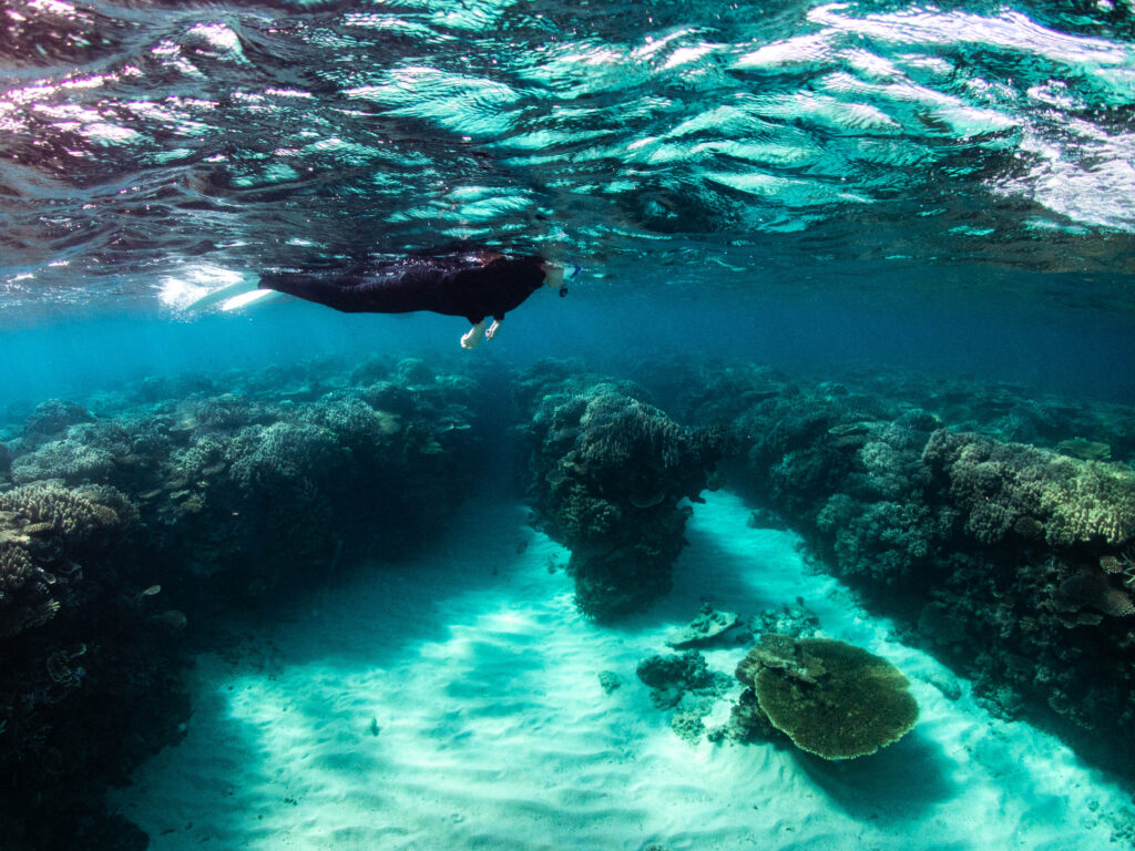 水納島 スキンダイビング