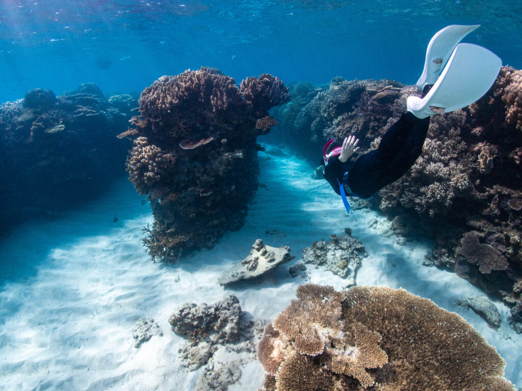 水納島 スキンダイビング