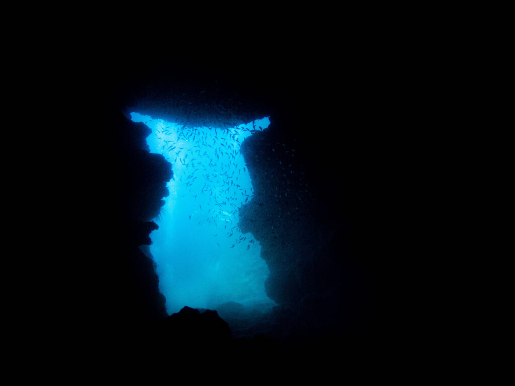 万座 ダイビング