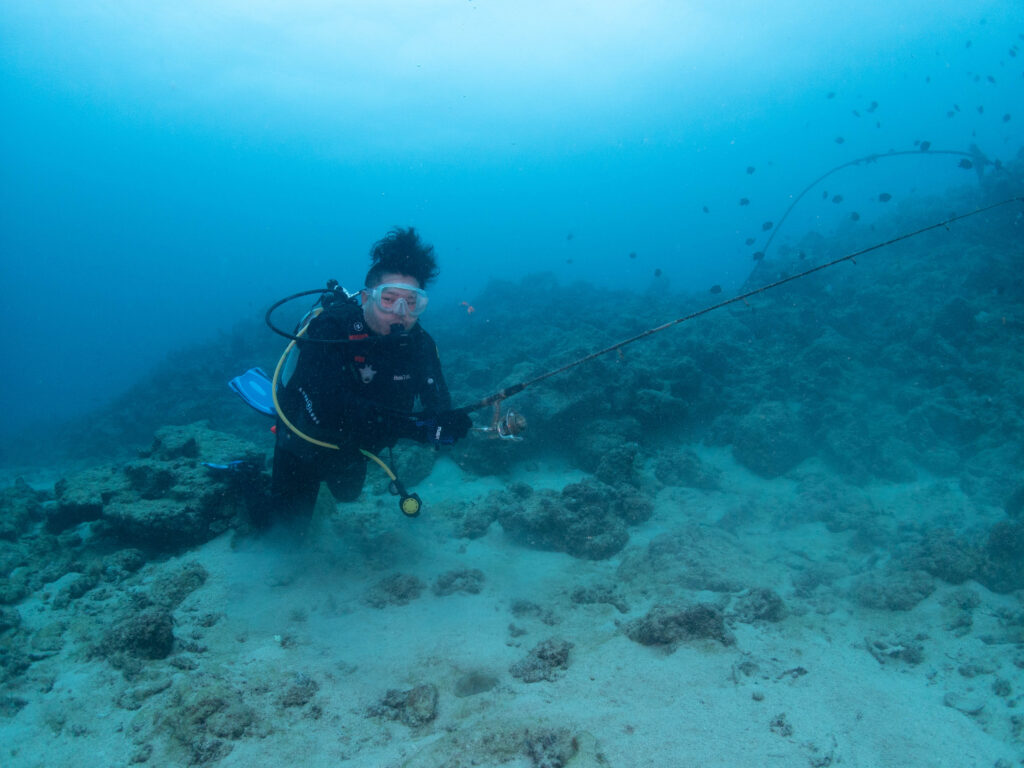 沖縄 ダイビング