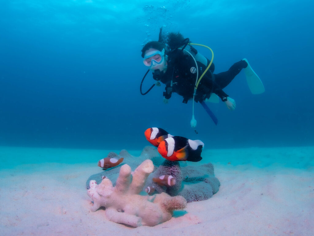 万座　ファンダイビング