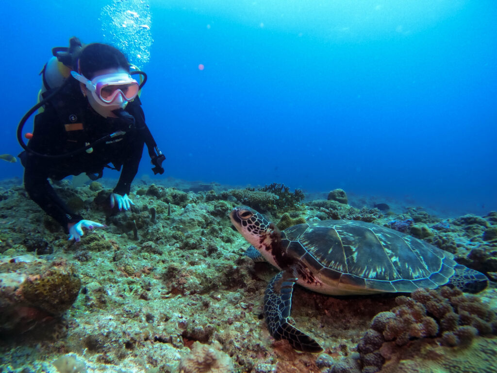 恩納村 体験ダイビング