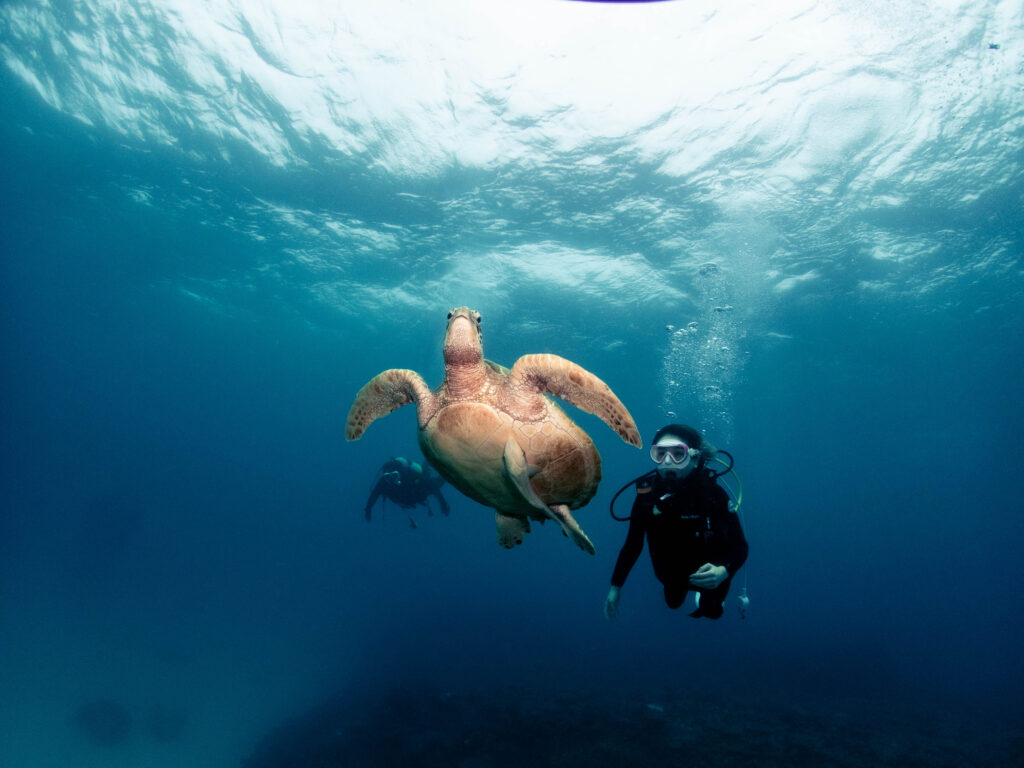 恩納村 体験ダイビング