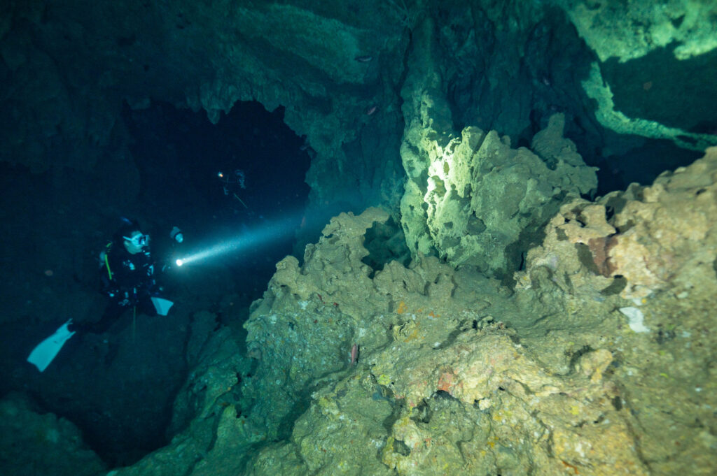 辺戸ドーム ダイビング