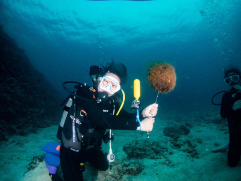 瀬底島 ダイビング