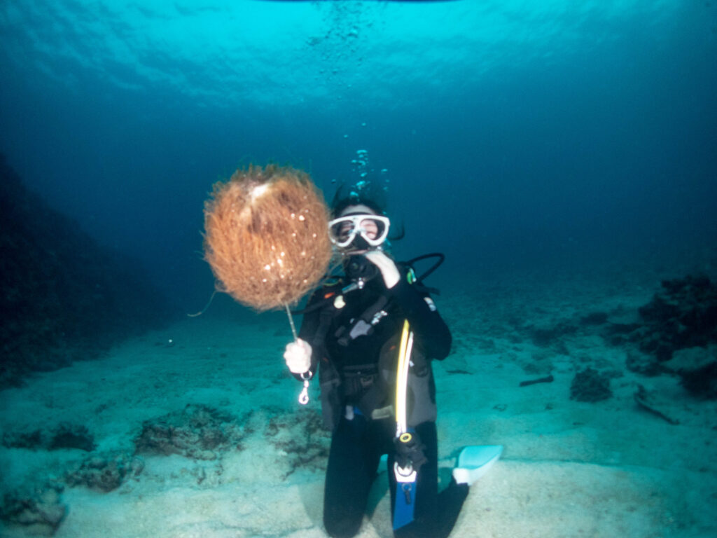 瀬底島 ダイビング