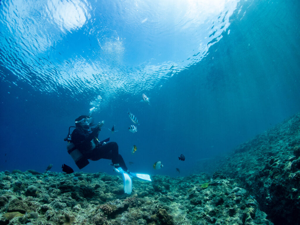 恩納村 ダイビングライセンス