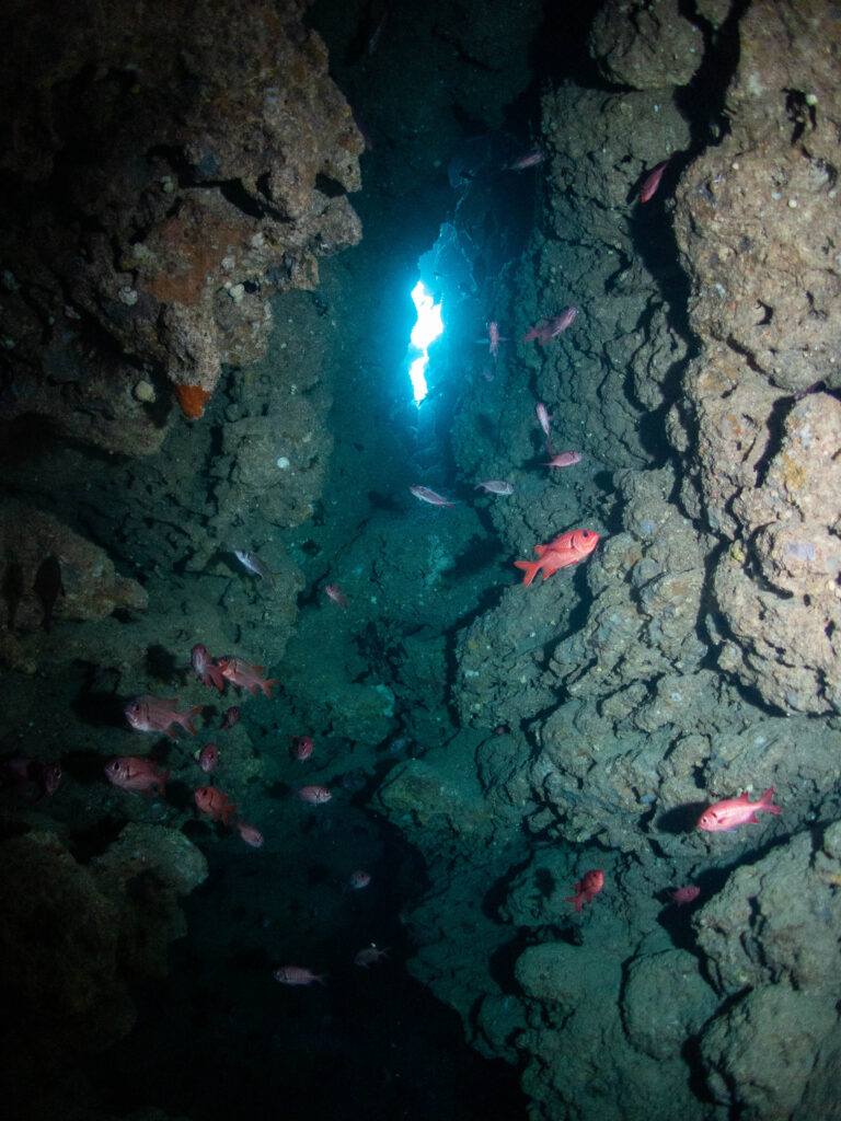 瀬底島 ダイビング