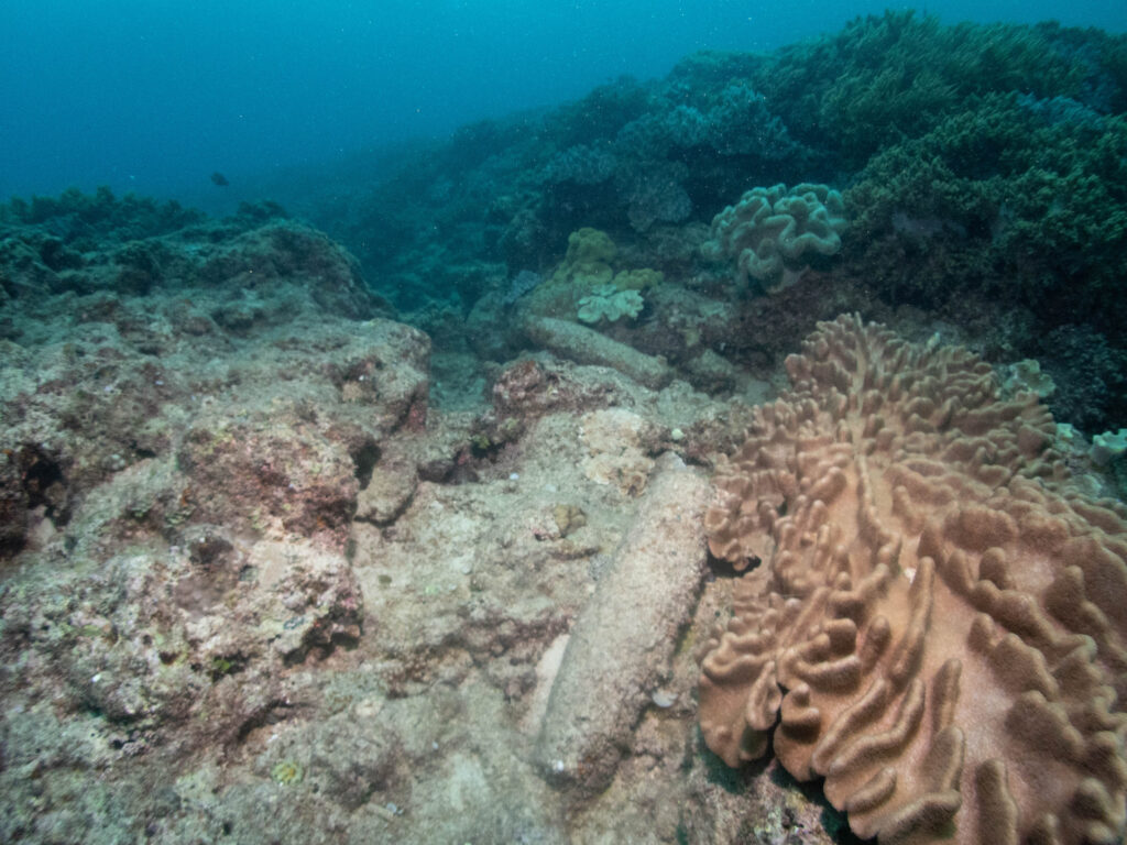 残波 ダイビング