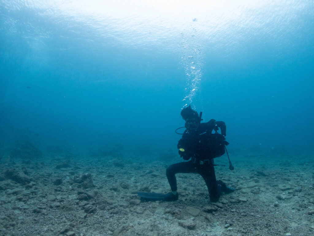 沖縄　ダイビングライセンス