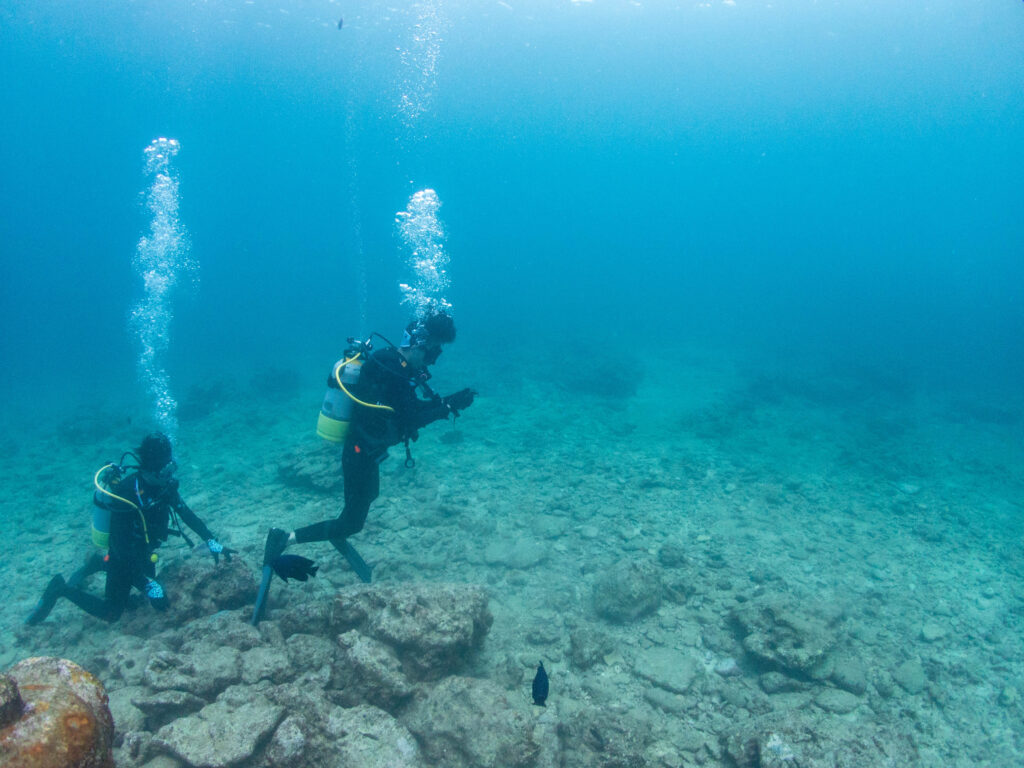 沖縄　ダイビングライセンス