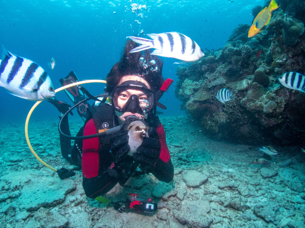 水納島　ダイビングライセンス