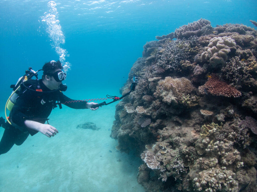 PADI ステップアップ講習