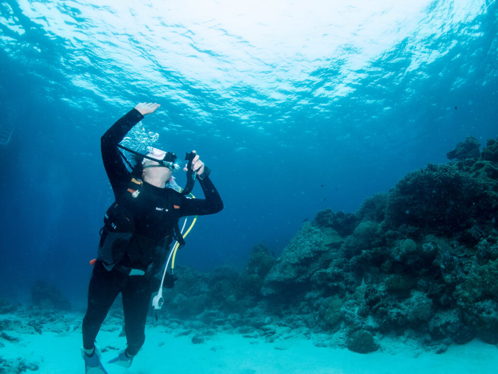 慶良間 ダイビングライセンス