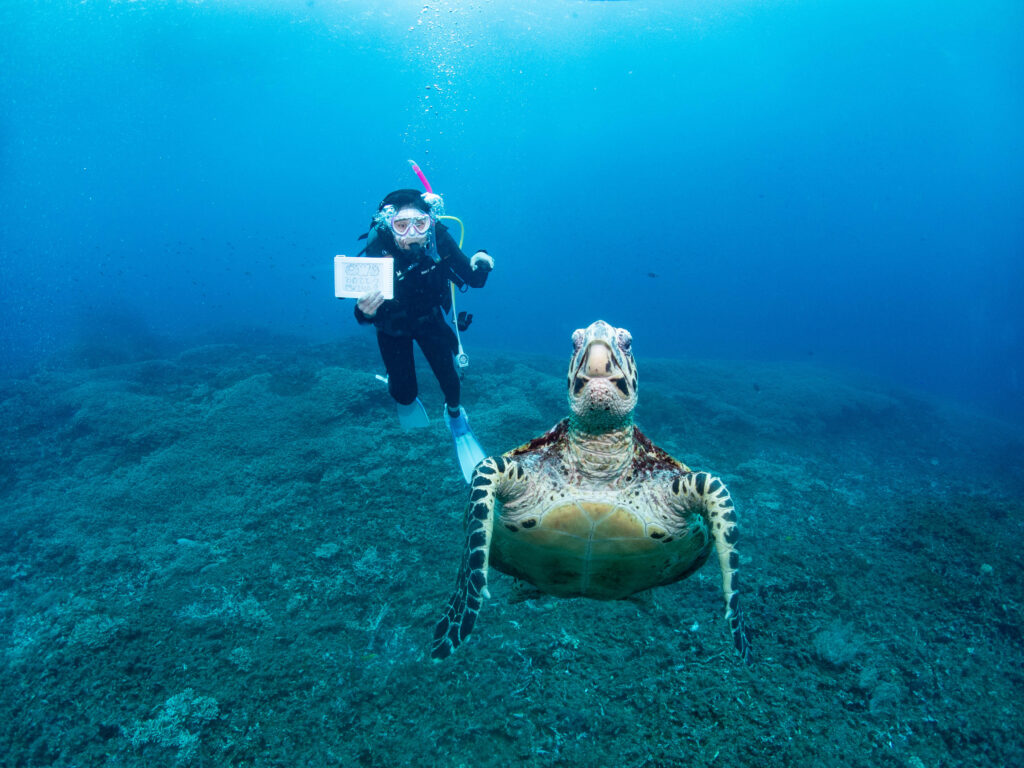 慶良間 ダイビングライセンス