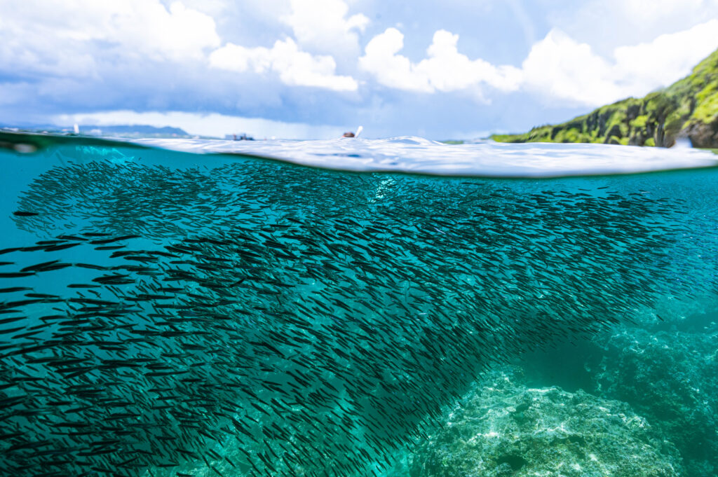 恩納村　真栄田岬