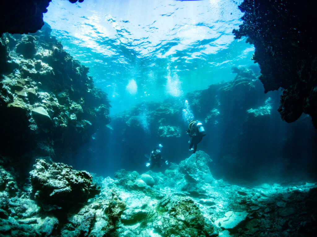 沖縄　ダイビングライセンス